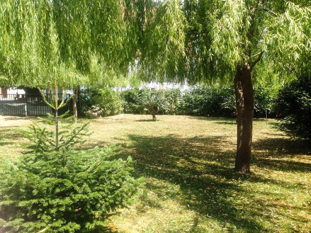 Villa Amsterdam Ohrid Exterior foto