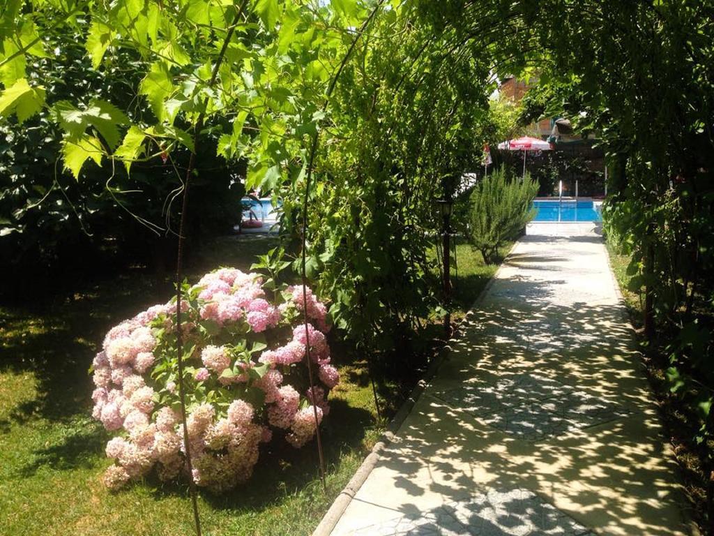 Villa Amsterdam Ohrid Exterior foto